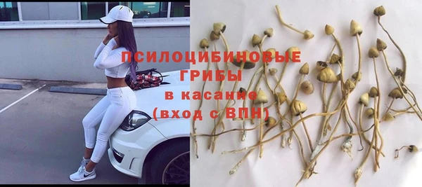 2c-b Нея