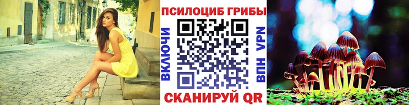 как найти закладки  Норильск  Псилоцибиновые грибы Psilocybine cubensis 