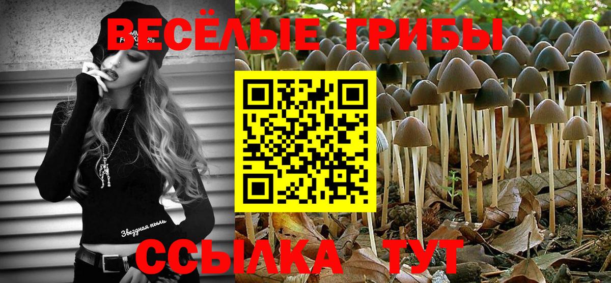 дарнет шоп  Псилоцибиновые грибы Psilocybine cubensis  Вход с VPN  Норильск 